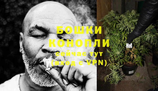 гидропоника Бугульма