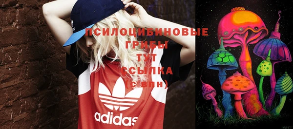 гидропоника Бугульма