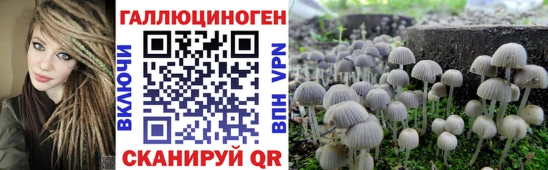 Псилоцибиновые грибы ЛСД  Крым 