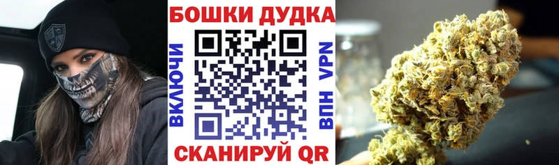 Конопля сатива  где купить наркоту  Крым 